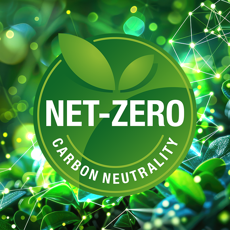 net zero by 2050
